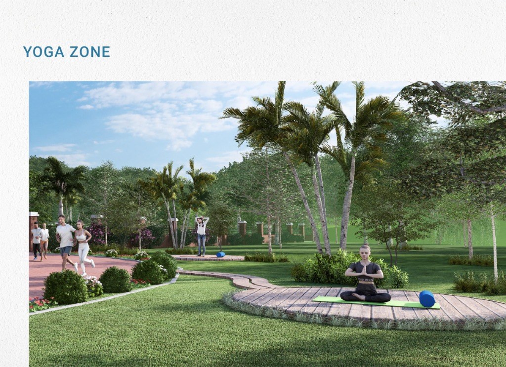Yoga Zone Sanctuary
